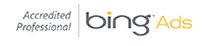 Stemstech Bing Partners