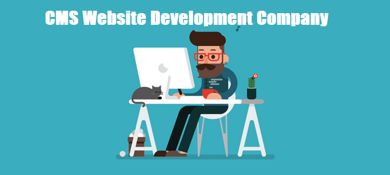 cms-website-development-company