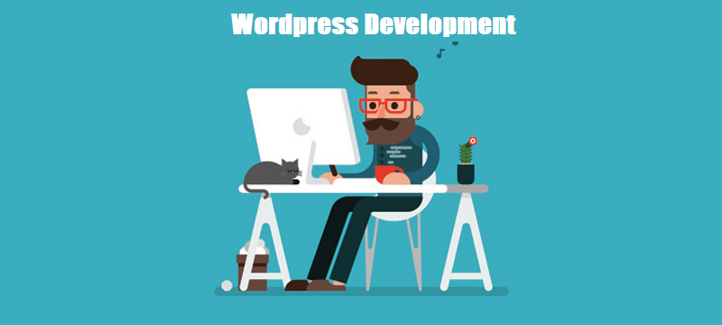 wordpress development company meerut