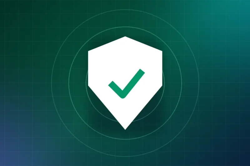 Website Security Checklist for Growing Businesses